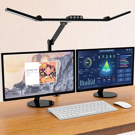 Adjustable Desk Lamp with Clamp