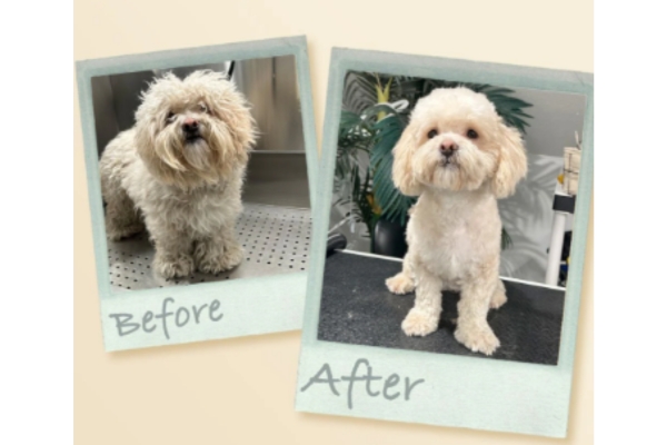 add details about your business