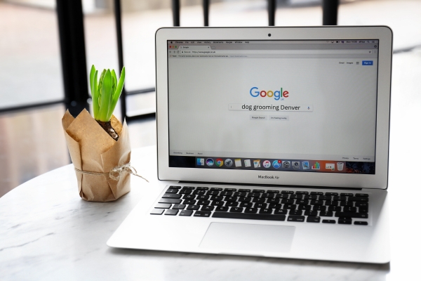 people also ask for local content